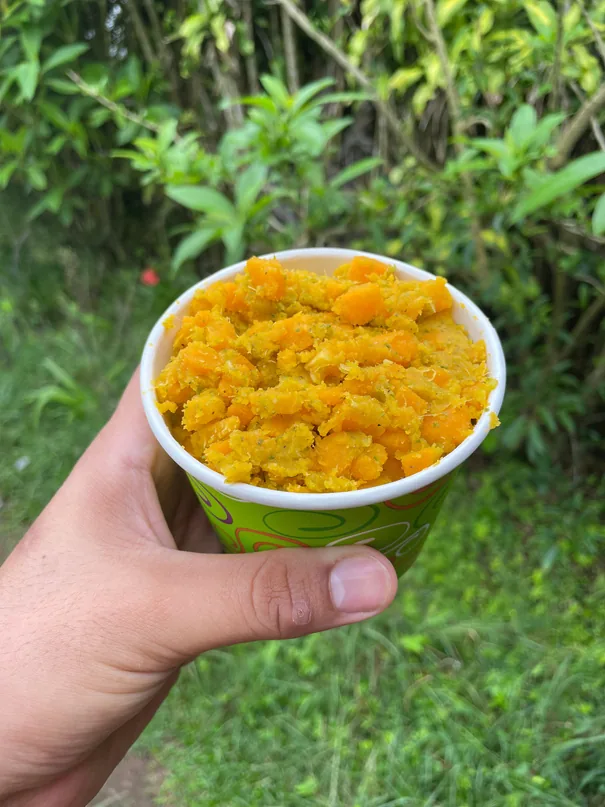 2 ceviches de pejibaye